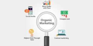 Mastering Organic Marketing: A Beginner’s Guide